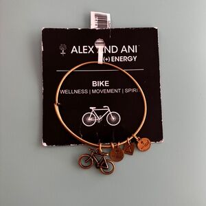 Alex and Ani Bike Bracelet